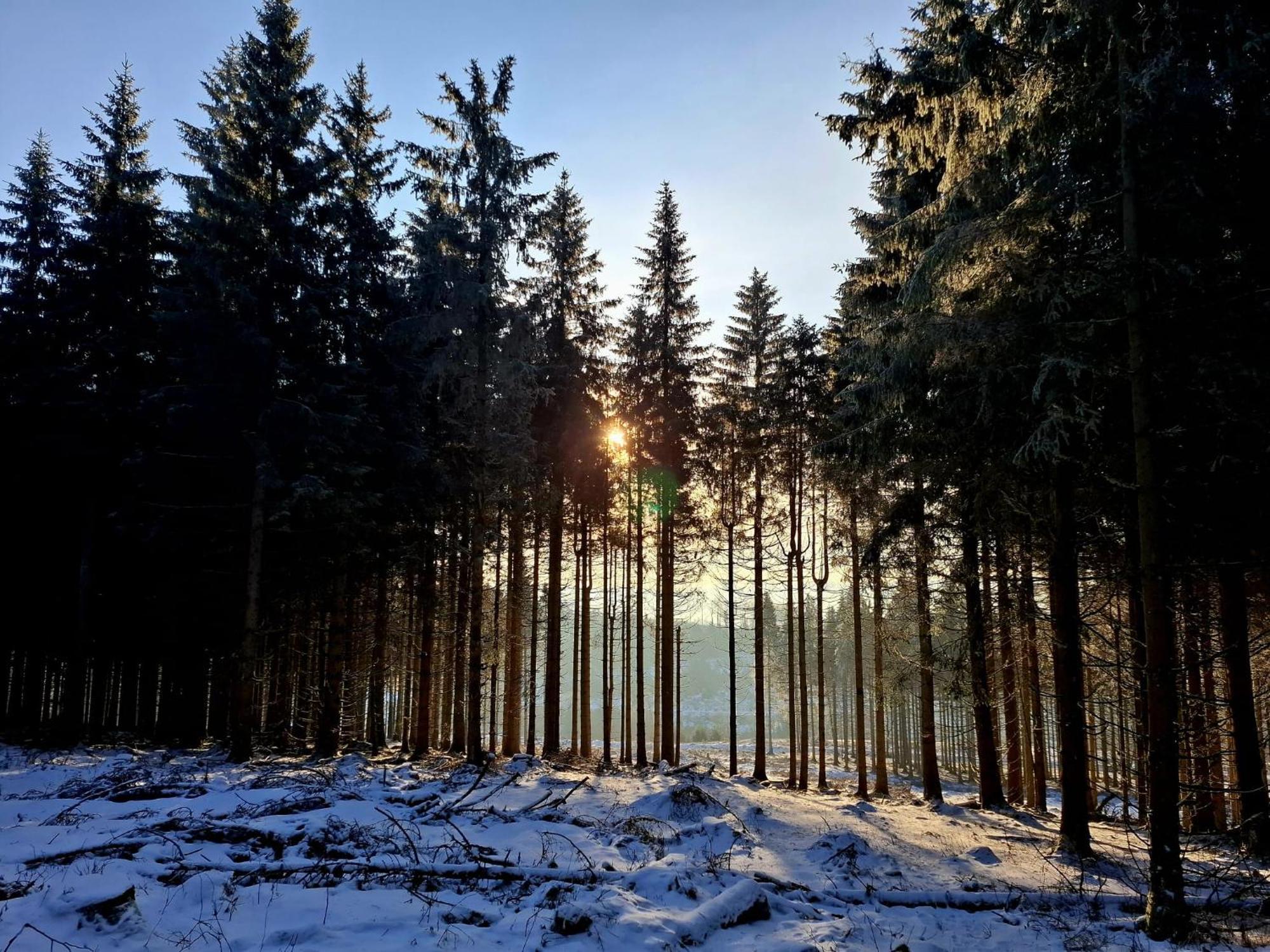 Haus Astenberg Winterberg Exteriér fotografie